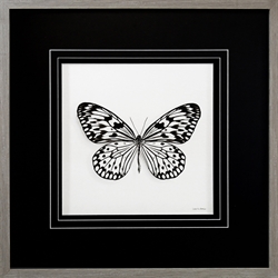 Picture of Butterfly VI GL0276