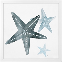 Picture of Blue Starfish GL1749