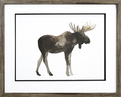 Picture of Forest Moose GL1755