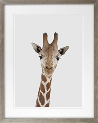 Picture of Giraffe Head                 GL1721