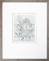 Picture of Dried Flower Study I GL0344