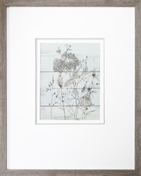 Picture of Dried Flower Study II GL0345