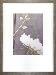 Picture of White Flower on Medium Gray  GL0286