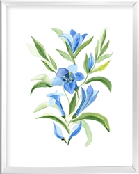 Picture of Blue Tulips Watercolor                  GL1699