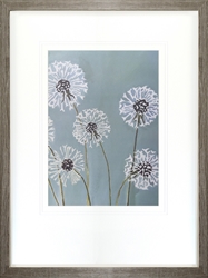 Picture of Dandelions on Aqua  GL0289