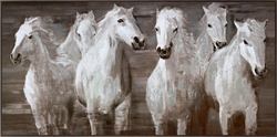 Picture of White horses OP0937-1