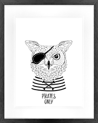 Picture of Pirate Owl  GL1836