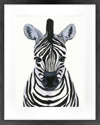 Picture of Zebra Babe GL1851   