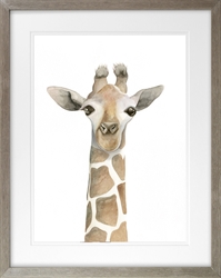 Picture of Giraffe Peekaboo  GL1778