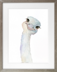 Picture of Ostrich Peekaboo  GL1779