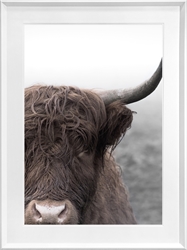 Picture of Highland Cow GL1872