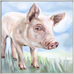 Picture of White Pig                               OP1268-1