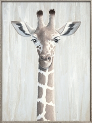 Picture of Close-up Giraffe                         OP1335-1