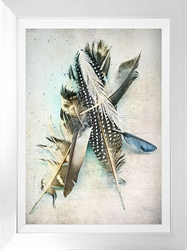 Picture of Feather Study No. 5               GL0940