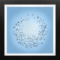 Picture of Birds Flying in a Circle               GL0735
