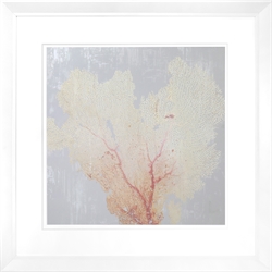 Picture of Blush Coral 1                  GL0869
