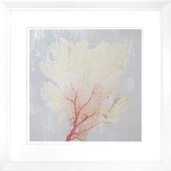 Picture of Blush Coral 11                GL0870