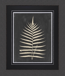 Picture of Linen Fern III                                 GL0805