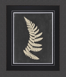 Picture of Linen Fern IV                                         GL0806