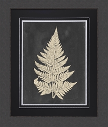 Picture of Linen Fern I                                         GL0803