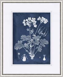 Picture of Botanical in Indigo III                         GL0784