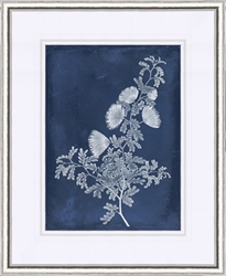 Picture of Botanical in Indigo IV                             GL0785