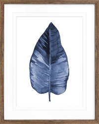 Picture of Indigo Leaf                                      GL0973