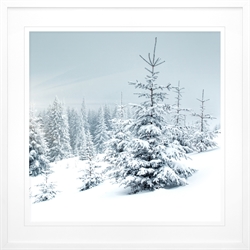 Picture of Winter Evergreens                           GL1100