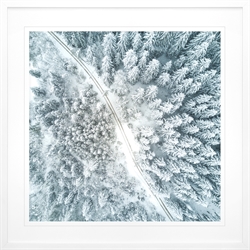 Picture of Winter Trees Aerial                           GL1009