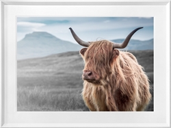 Picture of Furry Highland Cow                          GL1911