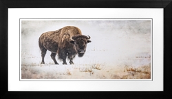 Picture of Lamar Valley Buffalo III                    GL0879