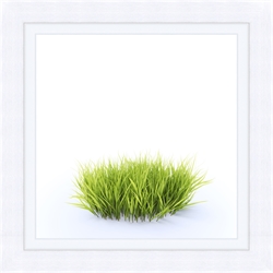 Picture of Round Patch of Fresh Grass             GL0728