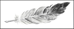 Picture of Glittering Feather                               OP1351-1