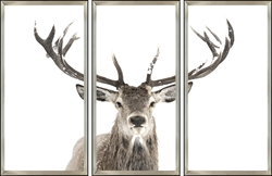 Picture of Triptych  Antler                               GL01250