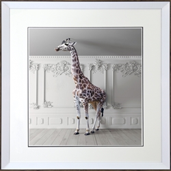 Picture of Giraffe Hold the Chandelier              GL0187