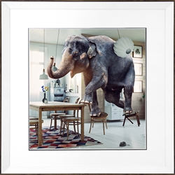 Picture of Elephant Runs from Mouse              GL0189
