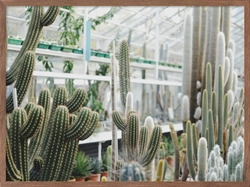 Picture of In the Greenhouse                        GL6784