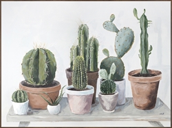 Picture of Cactus in Pot                                  OP1517-1
