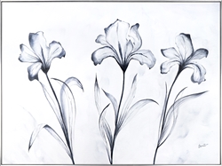 Picture of Black and White Tulipano                 OP1544-1