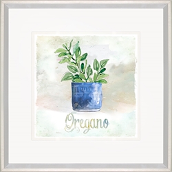 Picture of Potted Oregano               GL2686