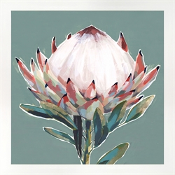 Picture of Blooming King Protea           GL2555