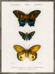 Picture of Three Butterflies            GL213