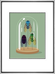 Picture of Cicadas Collection Bell Jar       GL2977