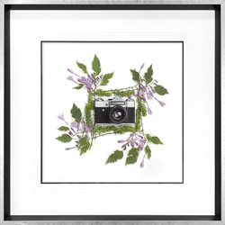 Picture of Floral Frame with Purple Flowers    GL2971