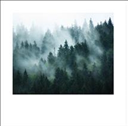 Picture of Misty Landscape                GL088