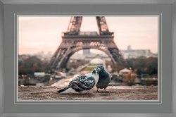 Picture of Gray and Black Pigeons Behind Eiffel Tower   GL2996