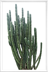 Picture of Green Cactus        GL3135