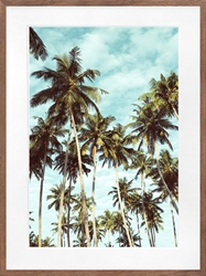 Picture of Palm Trees I            GL20500