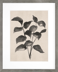 Picture of Black Linen Leaves II               GL761