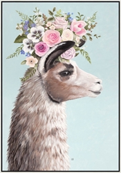 Picture of Llamas Hat           OP2388-1   